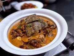 原汁年份甲鱼-大拙里·精致融合菜(沙湖桃源国际店)