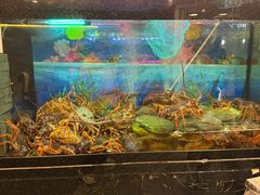 -渔洲情海鲜酒家