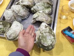 -蚝专家(北滘店)