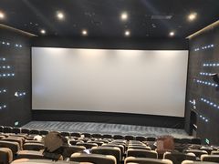 -深影国际影城(学院南路店CGS中国巨幕店)