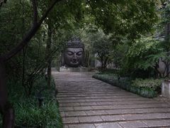 -杭州植物园