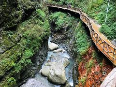 -鹿院坪生态旅游景区