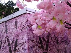-新城市广场