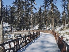 -瓦屋山景区