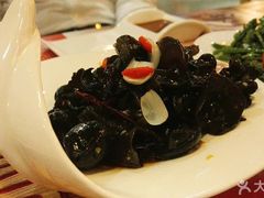 -新兴园饺子馆(北京百子湾店)