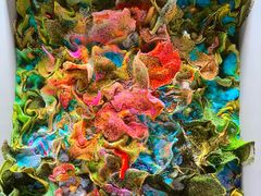 -德基艺术博物馆