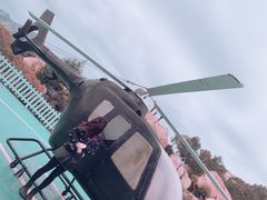 -那琴半岛地质海洋公园