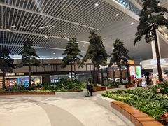 -青岛胶东国际机场