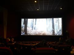 -AMG海上明珠影城(上海环球港RealDCinema店)