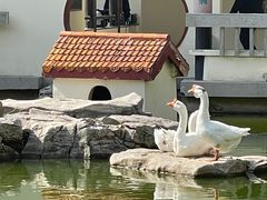 -舜耕山庄南风阁(舜耕路店)