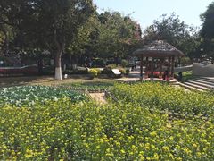 -天河儿童公园