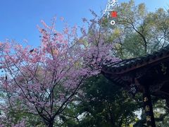 -乌山风景区