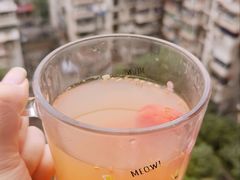 -茶颜悦色(花园道店)