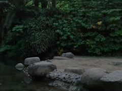 -苏州河梦清园环保主题公园