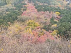 -北京西山国家森林公园