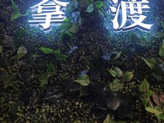 -拿渡·水煮鱼麻辣香锅(王府井奥莱·香江小镇店)