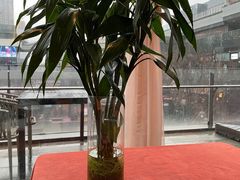 -赵小姐丨新中餐(曲江店)