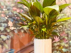 -萤火虫咖啡(后海店)