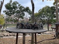 -上海野生动物园