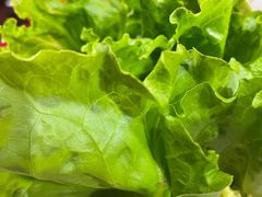 -墨脱石锅椰子鸡•香草鸭•东山羊(大东海店)