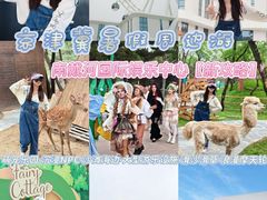 -南戴河国际娱乐中心