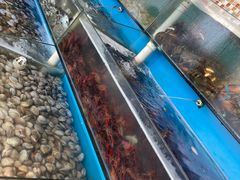 -港畔赶海蒸汽海鲜烧烤自助(仙螺岛店)
