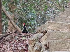 -百漈沟生态旅游景区