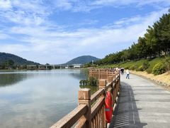 -风云岭森林公园