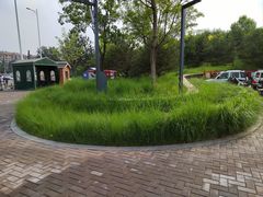 -东郊湿地公园