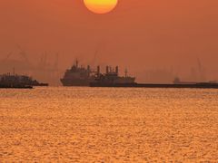 -上海吴淞炮台湾国家湿地公园