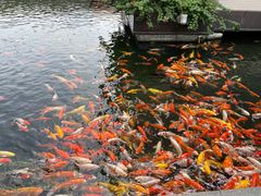 -番禺宾馆丽苑厅