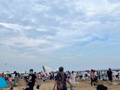 -碧海金沙