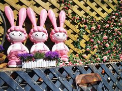 -三忘湖 SWANSEEN(柳荫公园店)