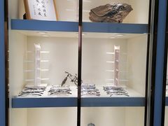 -潘多拉眼镜·蔡司依视路明月(潘家园店)