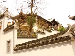 -塔川景区