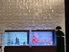 -山水温泉