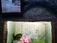 -上海大自然野生昆虫馆(东方明珠·爬宠昆虫探索中心)