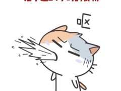 -lincat·猫舍(广州店)