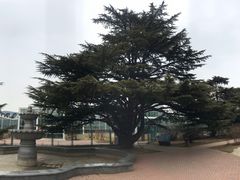 -国家植物园南园