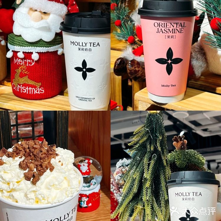 2024年的尾巴，和茉莉奶白一起…