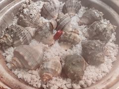 小海螺-船梆煮•蒸汽海鲜·生腌干蒸(五四广场店)