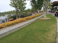 -上海长兴岛郊野公园