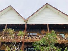 -绿光森林餐厅