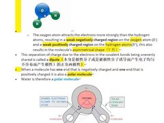 -JT PREP国际学科课程·IB·AP·Alevel(陆家嘴校区)