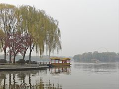 -石家庄市植物园