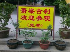 免费-福州开元寺