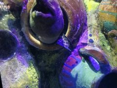 -太平洋海底世界