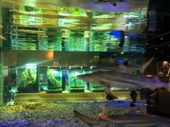 -趣陶陶艺手工坊(新世界百货重庆店)