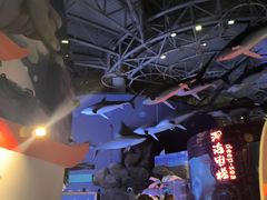 -烟台海昌鲸鲨海洋公园