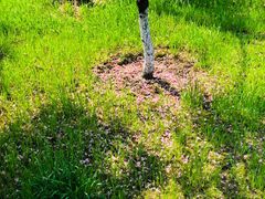 -中国银行江苏省分行培训中心